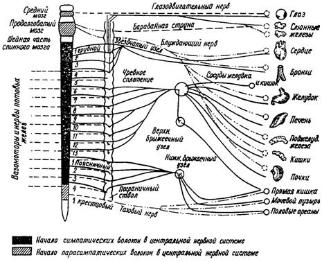 image002.jpg