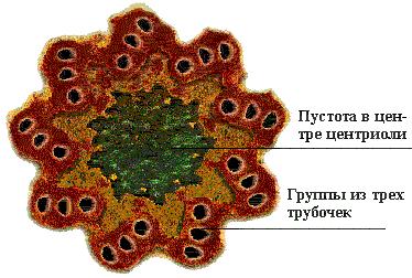    - 11534 B